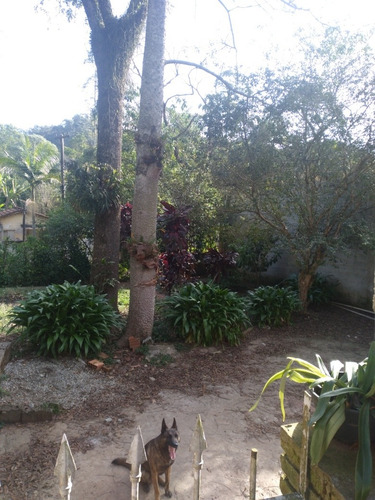 Imagem 7 de 13 de Chácara Serra Da Cantareira