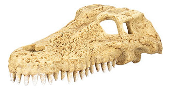 Reptizoo Cueva Calavera Decoracion Reptiles Para Terrarios
