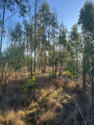 Parcela En Venta En Algarrobo