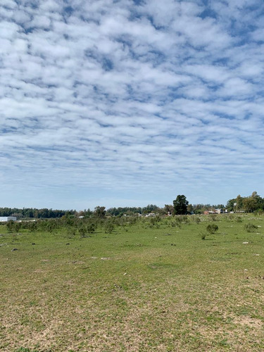 En Venta Chacra En Salto. Ruta 3 ¡atención Inversores Y Empresarios!