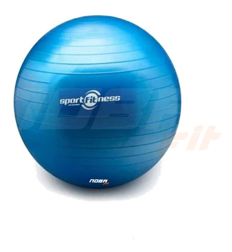 Balón Pilates Terapia Yoga Pelota Gimnasio 65cm