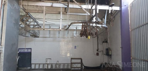 Imagen 9 de 10 de Local Para Frigorifico O Varias Utilidades En San Rafael- Mendoza