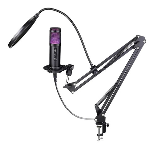 Imagen 1 de 9 de Micrófono Condenser Elefir At2022 Rgb Usb Profesional Único