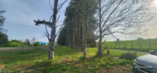 Venta Parcela Robles De Pilauco Osorno (127903)