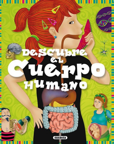Descubre el cuerpo humano, de Estayno, Grisel. Editorial Susaeta, tapa dura en español