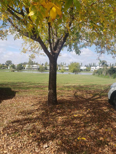 Lote Con Fondo A La Laguna En Terravista