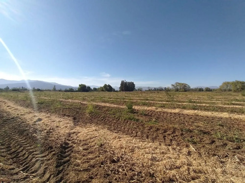 Terreno Agrícola En Venta, Campo De 60 Ha, Teno