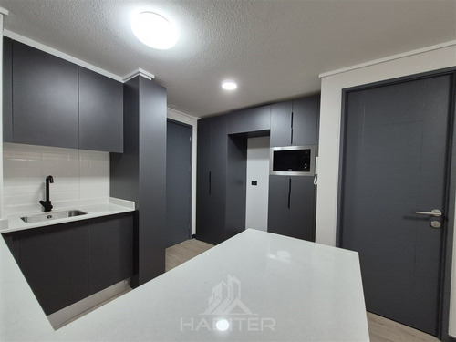 Departamento En Arriendo De 1 Dorm En Edificio Verticetemuco