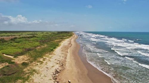 Imagen 15 de 19 de Vende Terreno En Chichiriviche Norte