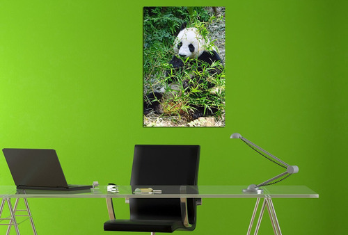 Vinilo Decorativo 20x30cm Oso Panda Natura Deco Interior M