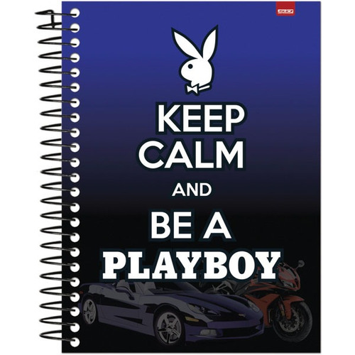 Caderno 15 Materias 2017 Playboy Masculino 300f  C/02 S. Dom