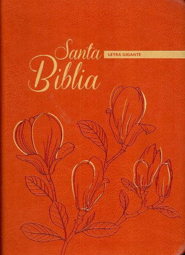 Libro Santa Biblia Letra Gigante De Varios