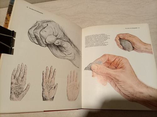 Libro. Los Orígenes Del Hombre. Leakey, Lewin. Aguilar (Usado)