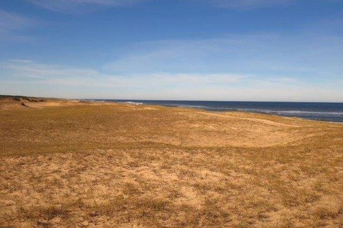 Lote | Oceano Atlantico