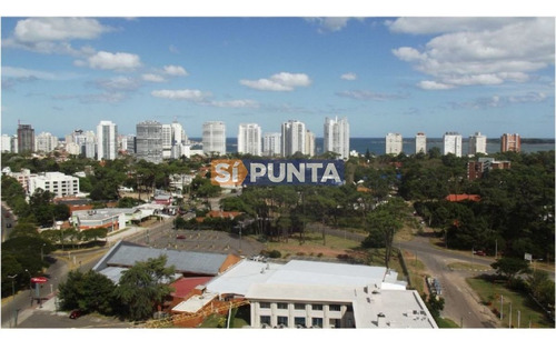 Imagen 3 de 14 de Monoambiente A La Venta