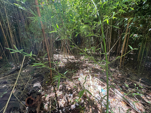 Terreno En Merlo Centro