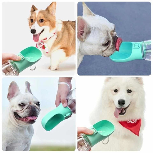 Imagen 5 de 5 de Botella Agua Perros Gatos