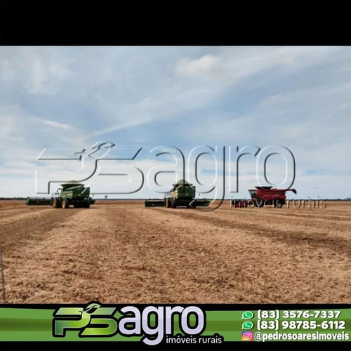 Imagem 10 de 11 de Fazenda À Venda, 30000000 M² Por R$ 45.000.000,00 - Zona Rural - São Felix Do Araguaia/mt - Fa0186