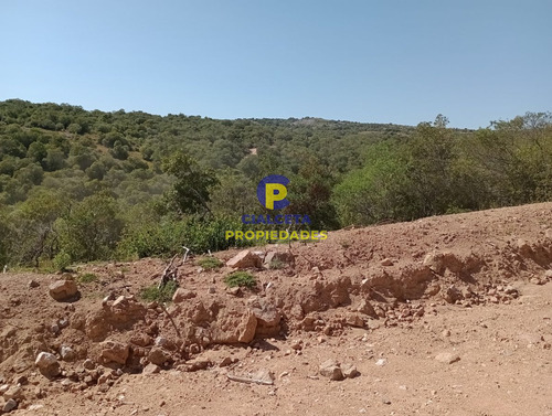 Imagen 2 de 14 de 5 Hectáreas, Entrega 12.000 Dólares