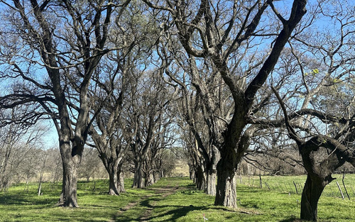 Venta Lotes - Estancia Carabassa | Vco Propiedades