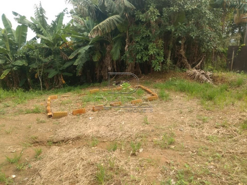 Imagem 7 de 8 de Terreno - Mina Do Mato - Ref: 33058 - V-33055