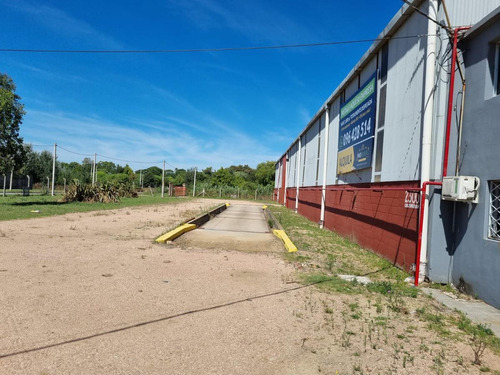 Imagen 26 de 26 de Depósito -camino Tomkinson Próximo Luis Batlle Berrescamino Tomkinson Próximo L. Batlle Berres, Predio De 5 Hectareas Y 1850 M2 De Deposito !!