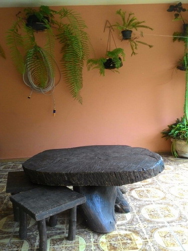 Imagem 22 de 30 de Sitio - St00006 - 4310429