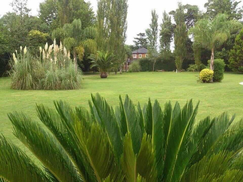Imagen 7 de 20 de Casa Quinta, Ezeiza Barrio El Trébol , Venta O Alquiler