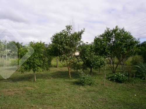 Imagem 4 de 15 de Chacara/fazenda/sitio - Restinga - Ref: 192994 - V-192994