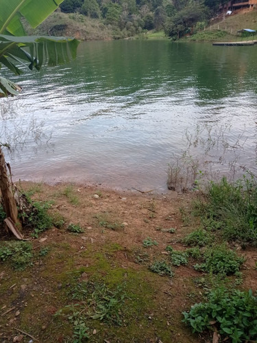 Imagen 11 de 15 de Finca En Venta -lago Calima