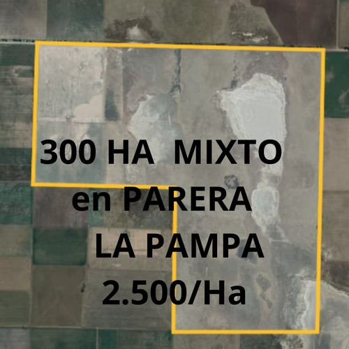 Campo Mixto, 300 Ha, A 7 Km De La Localidad De Parera En La Pampa. U$s 2.500/ha