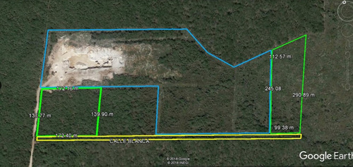 Imagen 6 de 7 de Terreno En Venta En Conkal 2.6 Hectáreas,mérida Yucatán