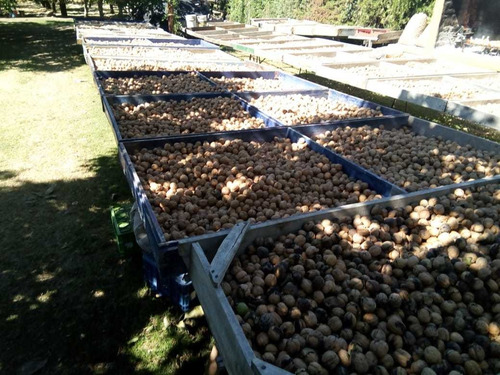 Imagen 5 de 13 de Vendo Hermosa Finca En Tupungato, Mendoza