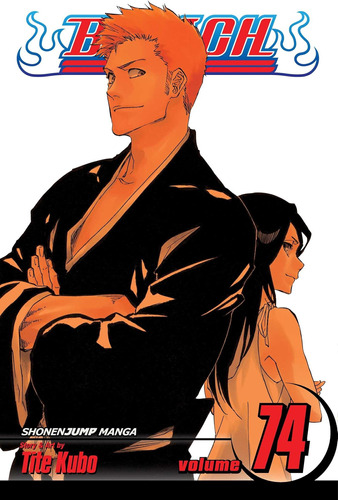 Libro: Bleach, Vol. 74 (74)