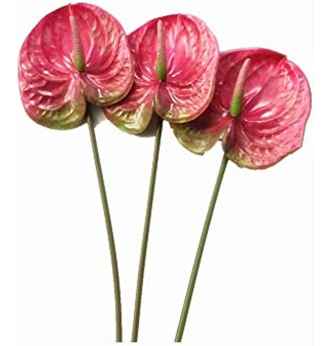 3 Piezas De 27  Flores Artificiales De Lirio De Anthurium Pa