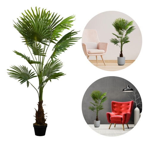 Kit 4 Plantas Artificiales Tipo Palmito 150cm Recepcion