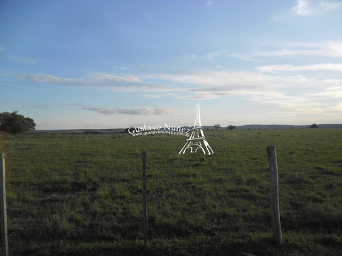 Campo En Tacuarembó- Ref: 2658
