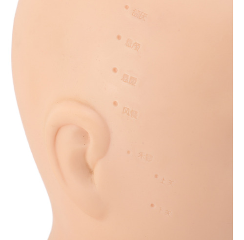 Cabeza De Maniquí De Acupuntura, Calva, Cosmetología, Silico