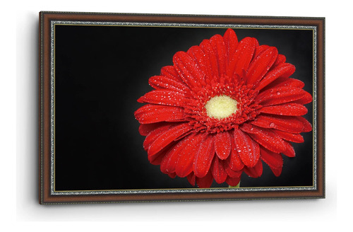 Cuadro Enmarcado Clasico Flor Gerbera Roja 90x140cm