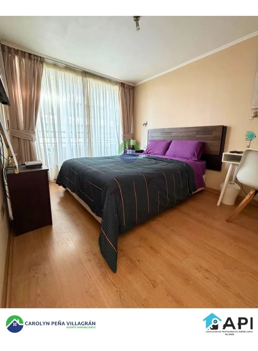 Imagen 1 de 13 de Departamento 1 Dormitorio Amoblado, Concepción Centro