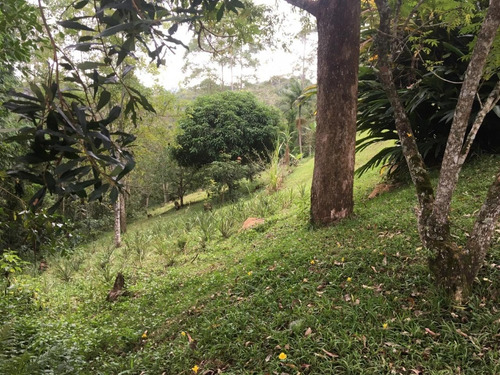 Imagem 19 de 30 de Chácara De Frente Para Represa Ideal Para Moradia E Lazer. - 289 - 34050183