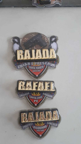 Imagem 3 de 8 de Kit Placas De Pasarinho