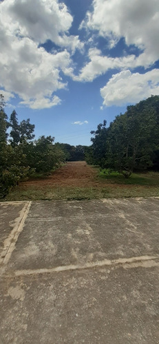 Imagen 9 de 14 de Finca Agroindustrial