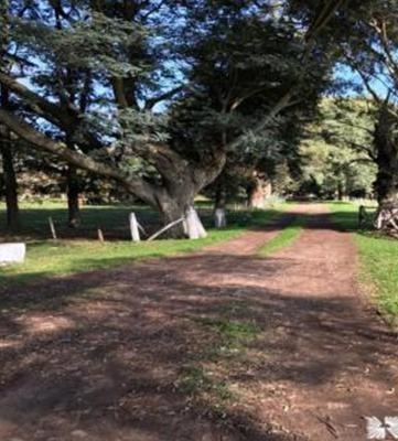 Imagen 3 de 30 de Campo Con Casa Y Boxes En Venta Con Renta - Capilla Del Señor - Exaltacion De La Cruz