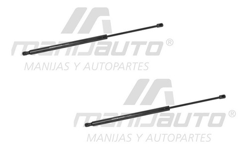 Par Amortiguadores 5ta Puerta Toyota Sienna 2006 - 2010 Mnj