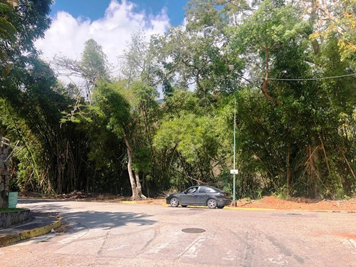 Imagen 6 de 6 de Estupendo Terreno En Venta En La Urbanización Miranda !!!
