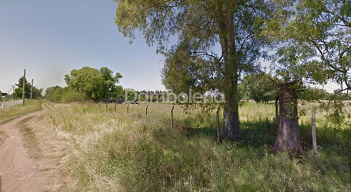 Imagen 3 de 6 de Terreno En Venta O Permuta Ubicado En La Reja, Moreno