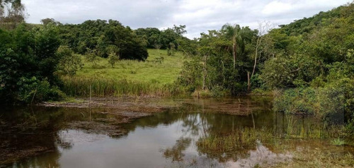Fazenda À Venda, 65 Alqueires Por R$ 3.000.000 - Sítio Rural - São Sebastião Do Paraíso/mg - Fa0012