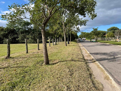 Imagen 5 de 6 de Venta Terreno Club De Campo El Tipal Los Pioneros
