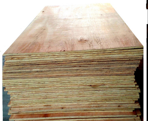 Terciado Fenolico25 Mm Calidad Indust Eucalipto 1,22 X 2,44 Eucalipto